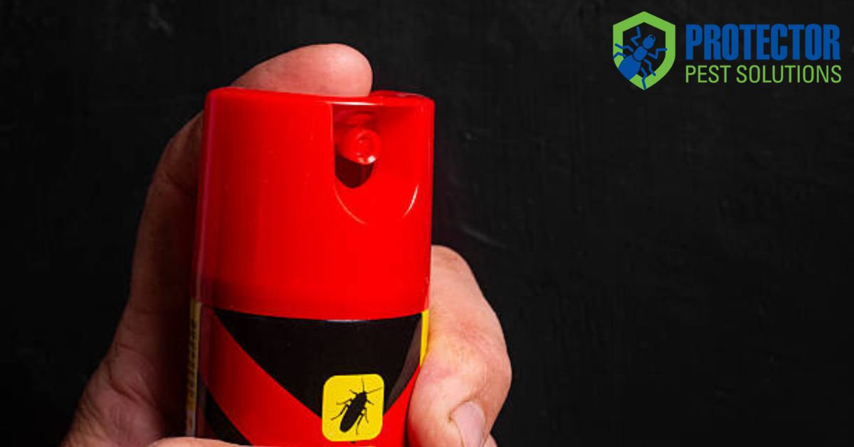 The Dangers of DIY Pest Control and Why Professional Help Matters
